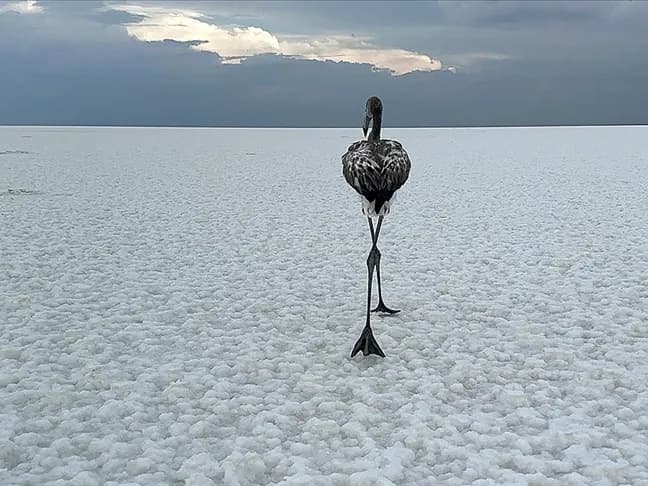 Salt Lake Tour